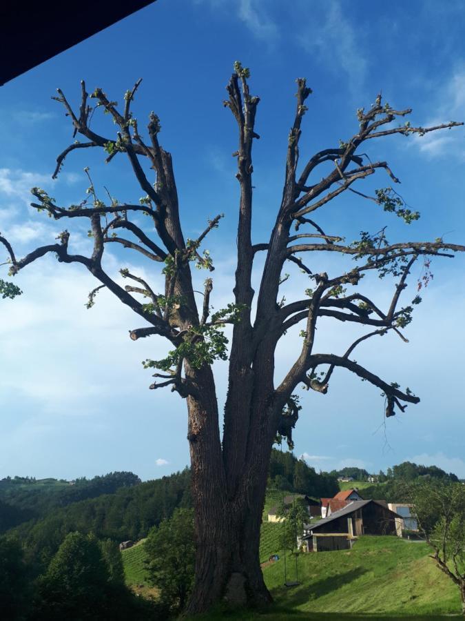 Willa Maxl Maltschach Zewnętrze zdjęcie